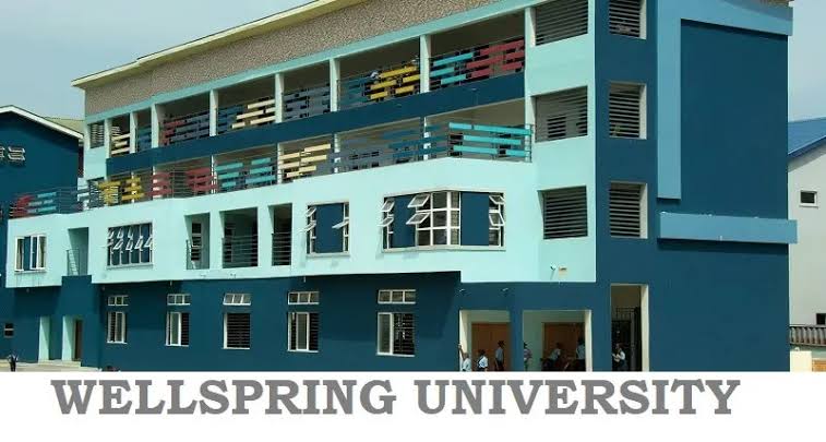 Wellspring University Post UTME Form 2024/2025 is Out [UPDATED]