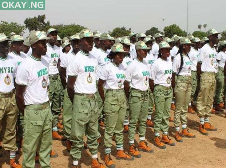 How to Check NYSC Senate List for Your Institution